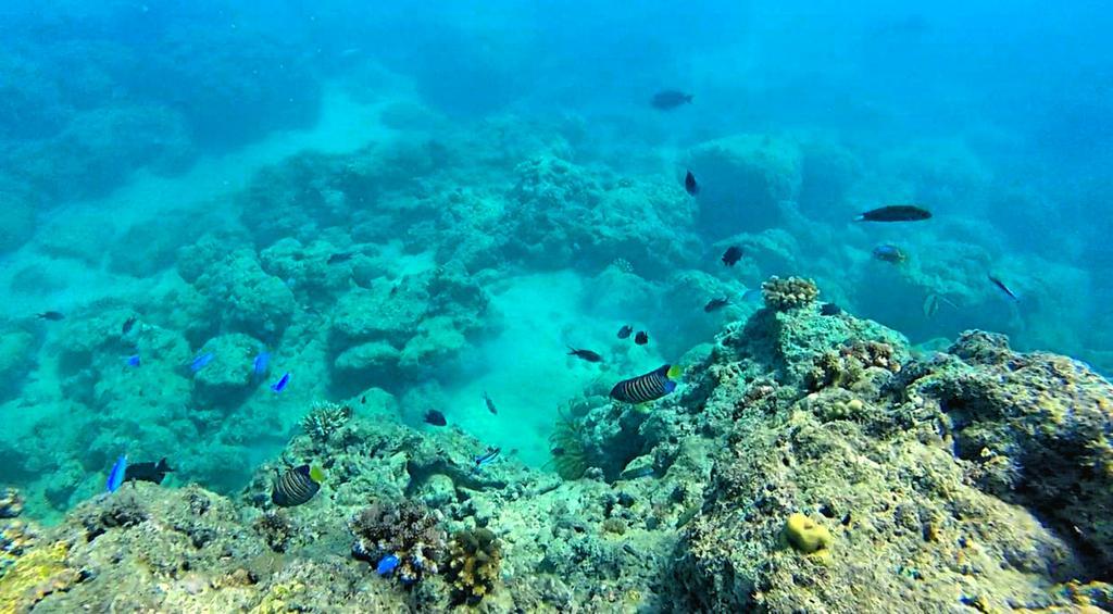 La Bella Beach House Boljoon المظهر الخارجي الصورة